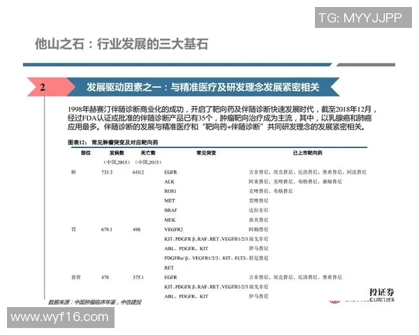 运动数据南京篮球队节奏对比分析战术风格与比赛表现的深度探讨