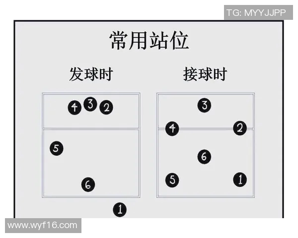 运动数据排球新手必看从零开始的比赛经验与技巧全攻略